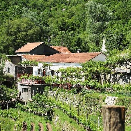 Country House Dajkovic Dupilo Ngoại thất bức ảnh