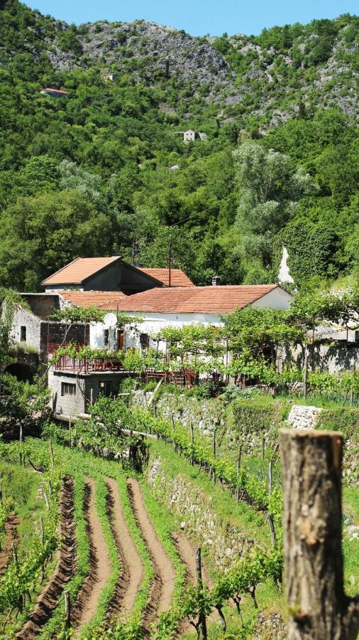 Country House Dajkovic Dupilo Ngoại thất bức ảnh